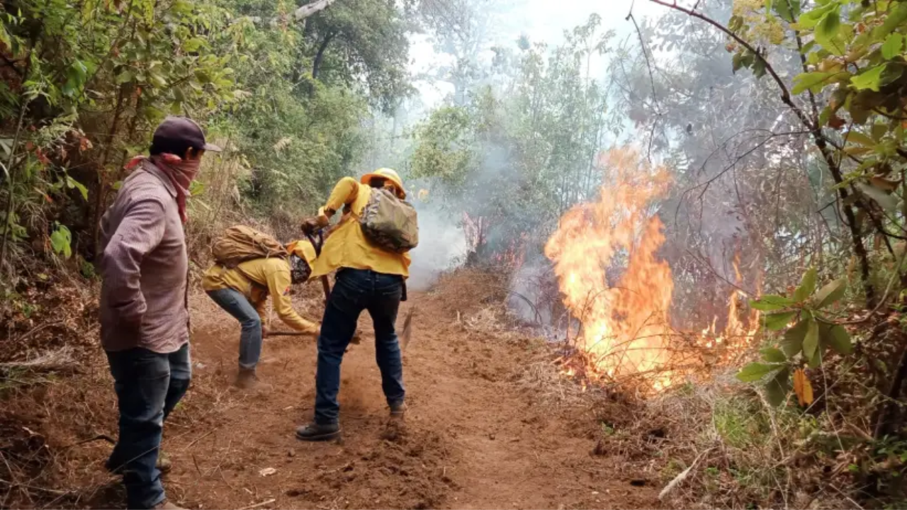 Controlan incendio forestal en Jilotzingo y Naucalpan