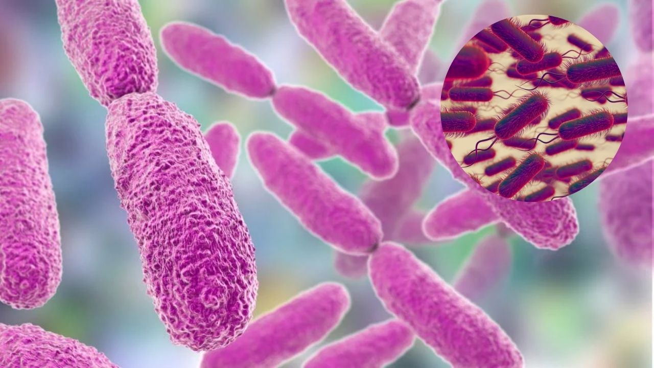 13 muertos por bacteria Klebsiella oxytoca en Edomex