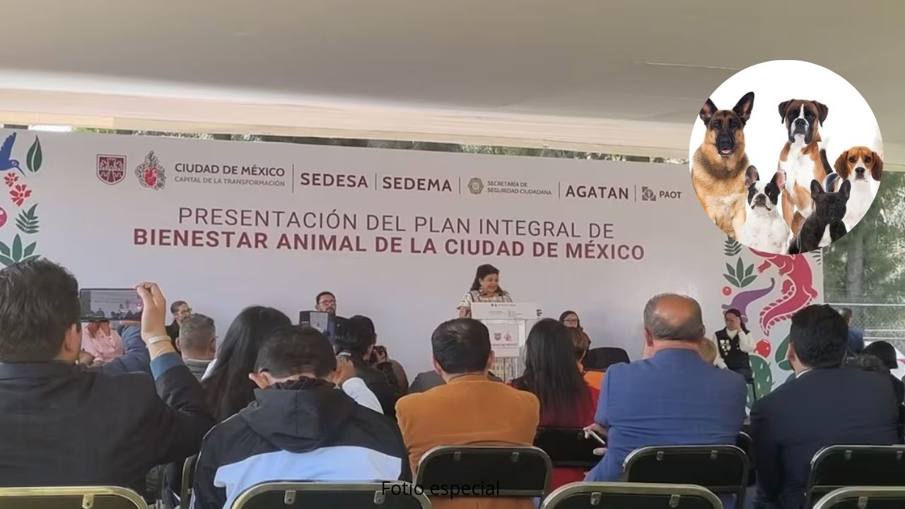 CDMX va contra Maltrato Animal, tendrá Fiscalía especializada