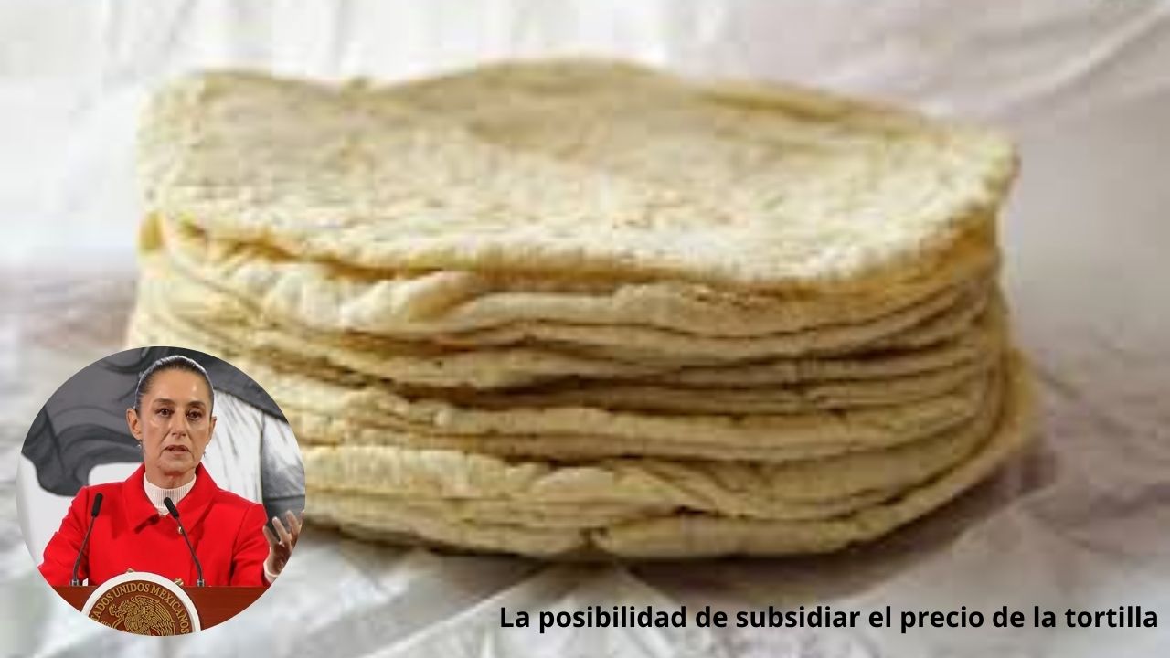 Sheinbaum abre la posibilidad de subsidiar el precio de la tortilla