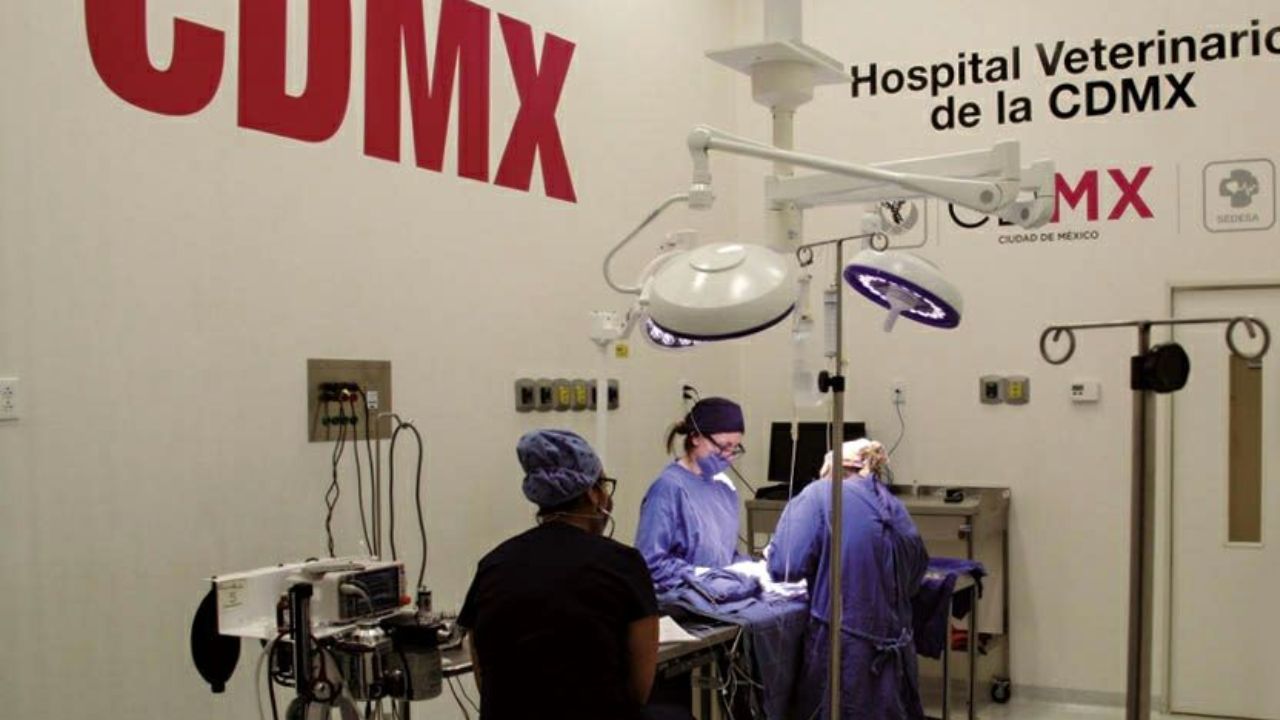 CDMX contará con un nuevo Hospital Veterinario