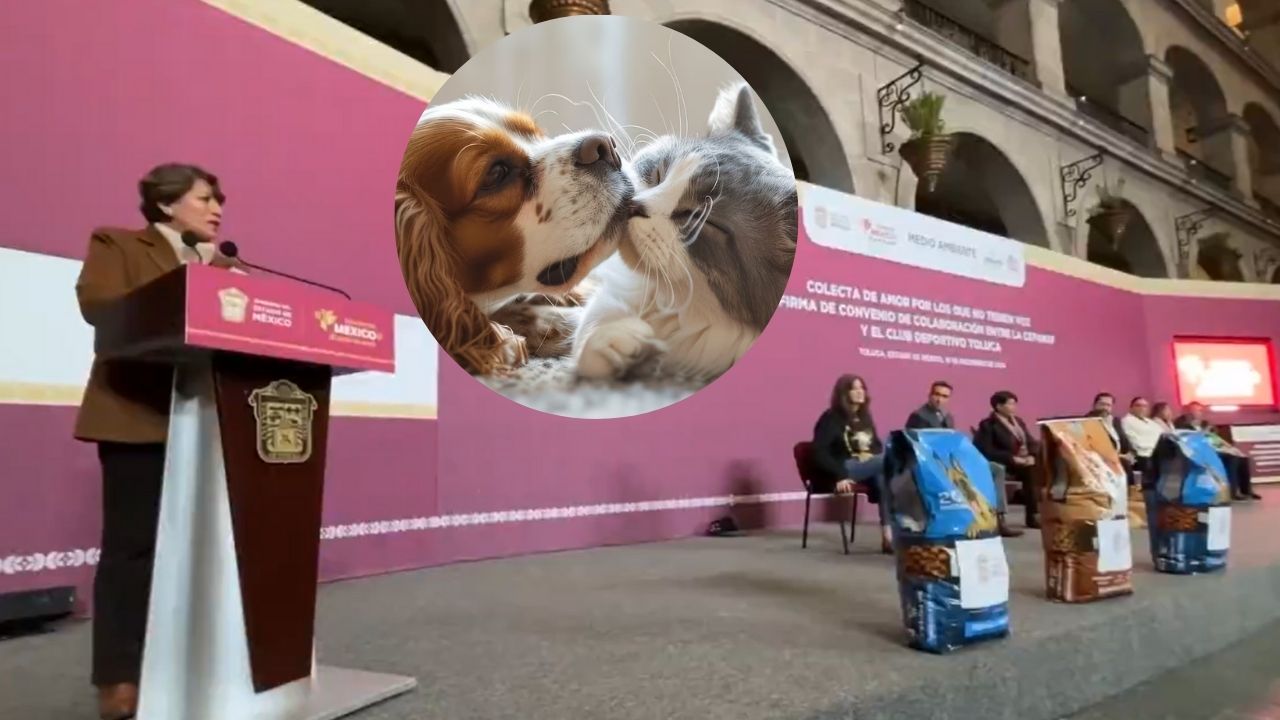 ¡Anota en tu agenda! Inicia Colecta “Amor por los que No Tienen Voz”