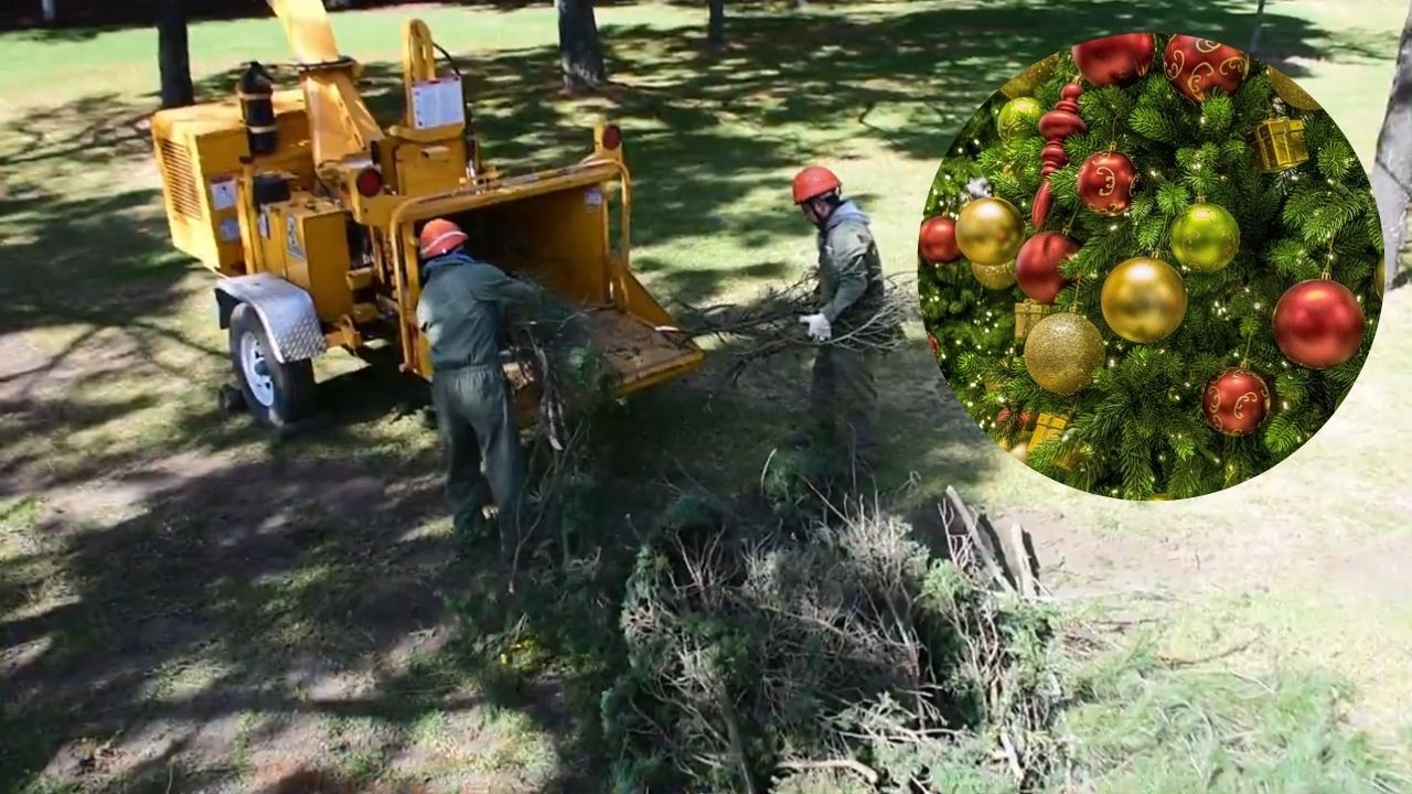 ¡Dale doble vida a tu Árbol de Navidad!