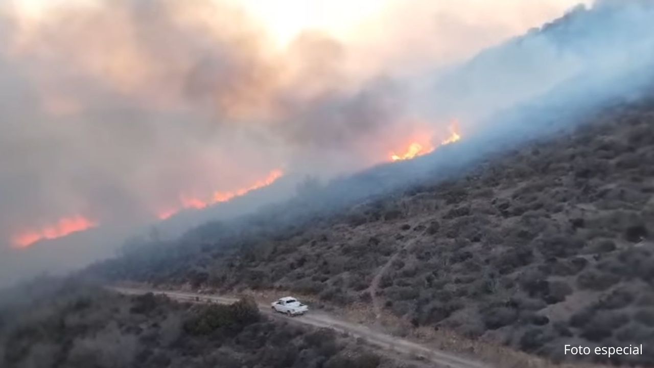 Cuatro incendios forestales afectan a Ensenada