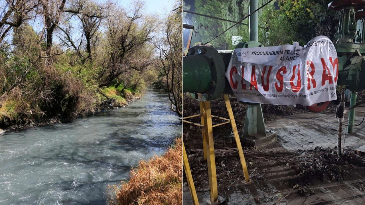 Profepa impone una Clausura Total Temporal a Ternium México