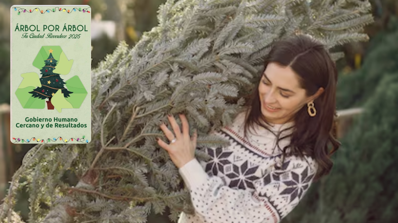 Inician campaña “Árbol por Árbol: Tu Ciudad Reverdece 2025”