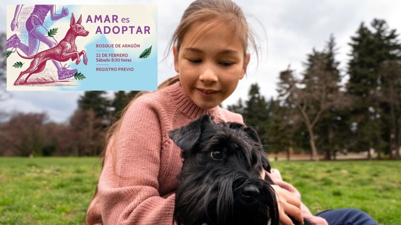 Participa en la carrera “Amar es Adoptar” 3K