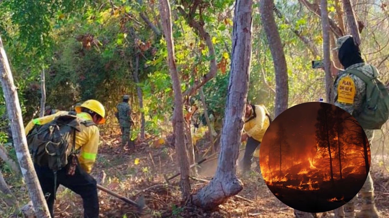 Cuatro incendios forestales activos en Oaxaca