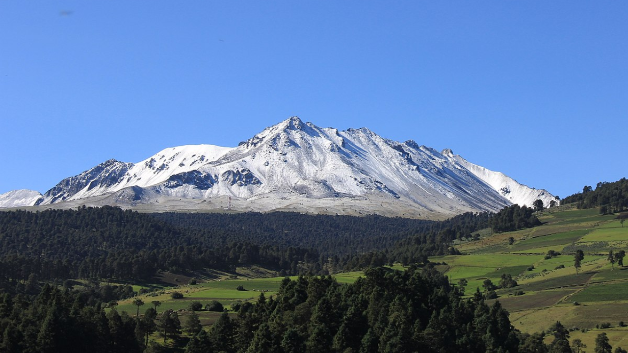 Fondo Mundial para la Naturaleza anuncia reforestación del Nevado de Toluca 