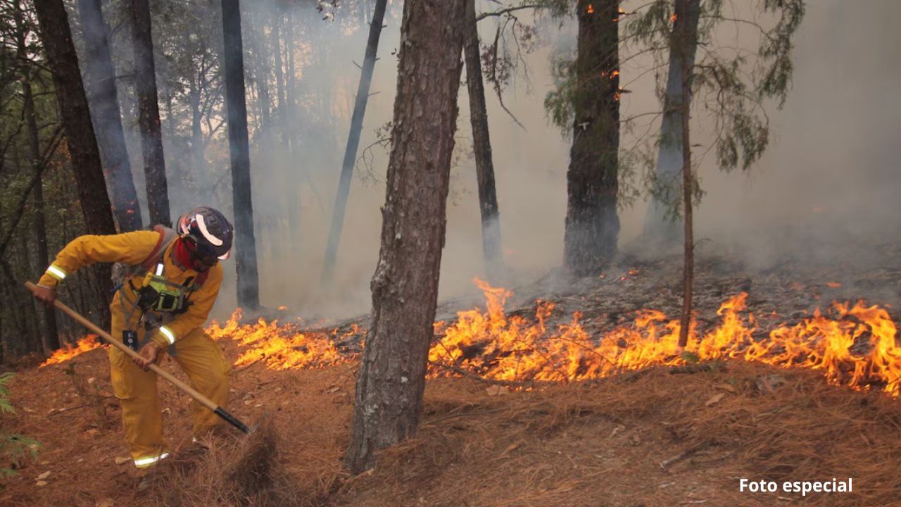 Vientos provocaron más de 200 incendios en Nuevo León