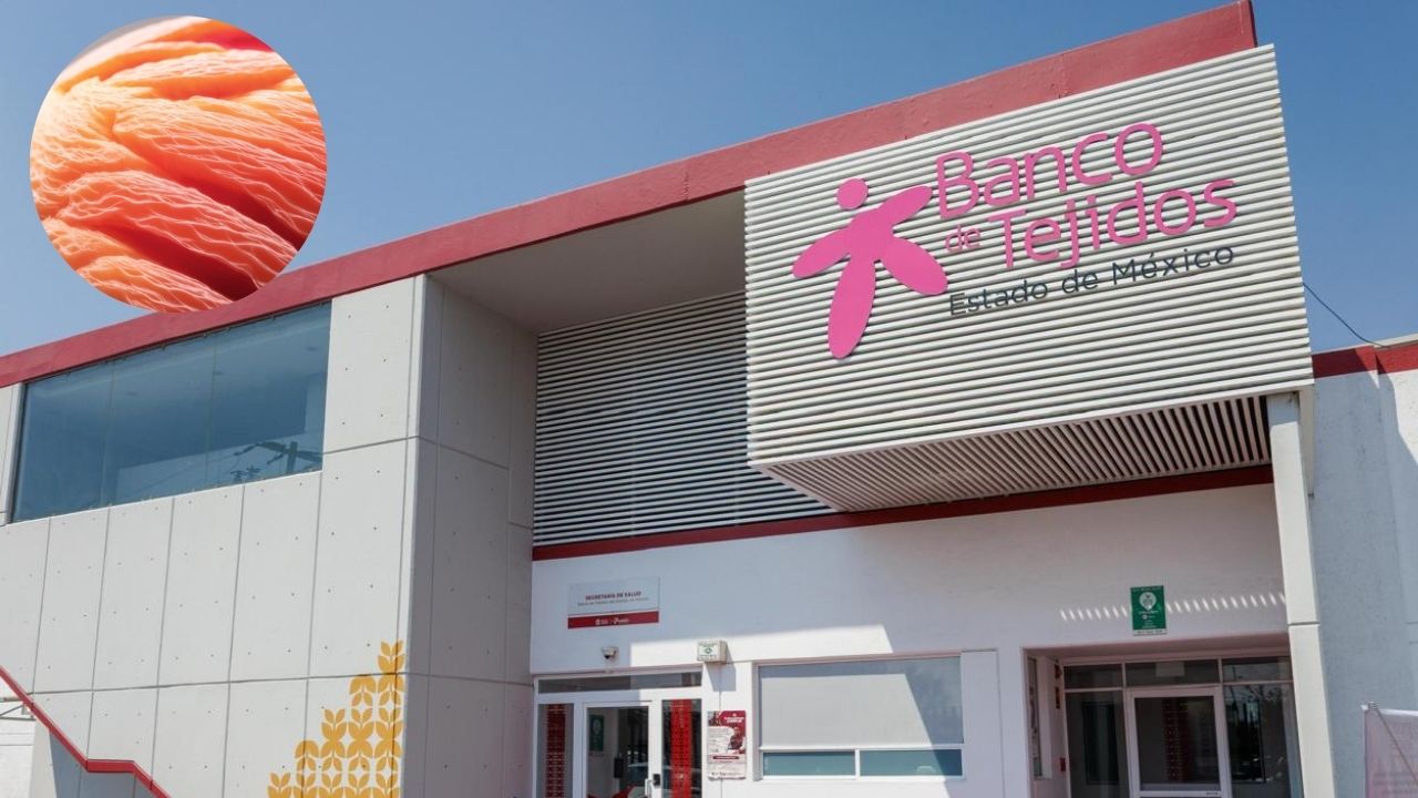 El único Banco de Tejidos del país en el Edomex