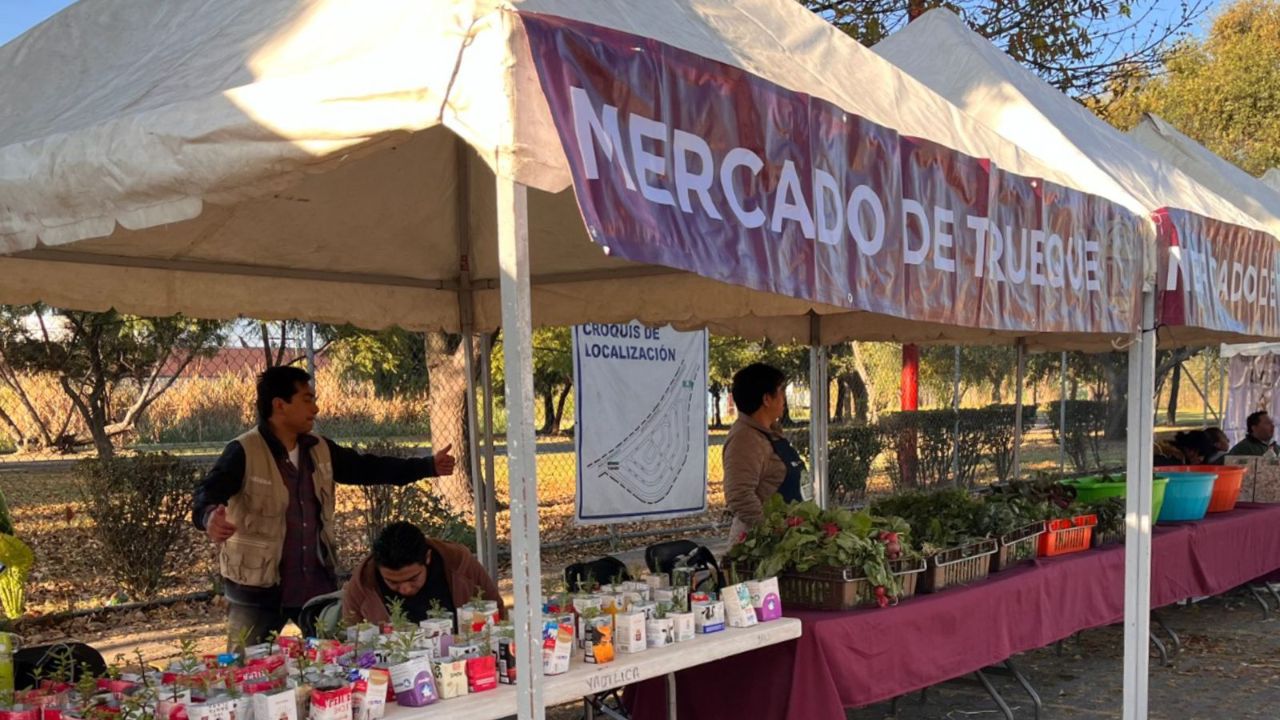 Mercado de Trueque en el Bosque de San Juan de Aragón