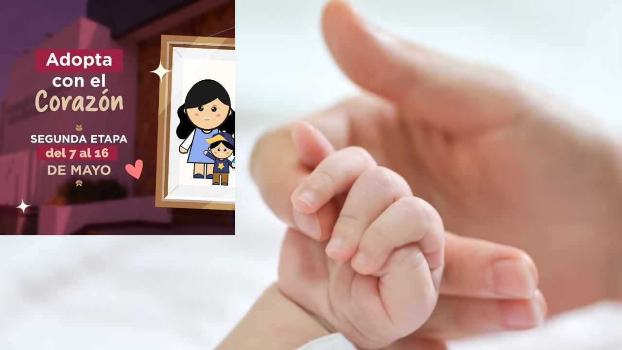 ¡Recuerda! Nuevo periodo de solicitudes para adopción en Edomex