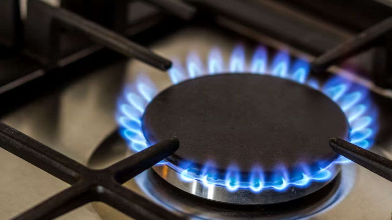 Aquí te dejamos los precios del gas LP
