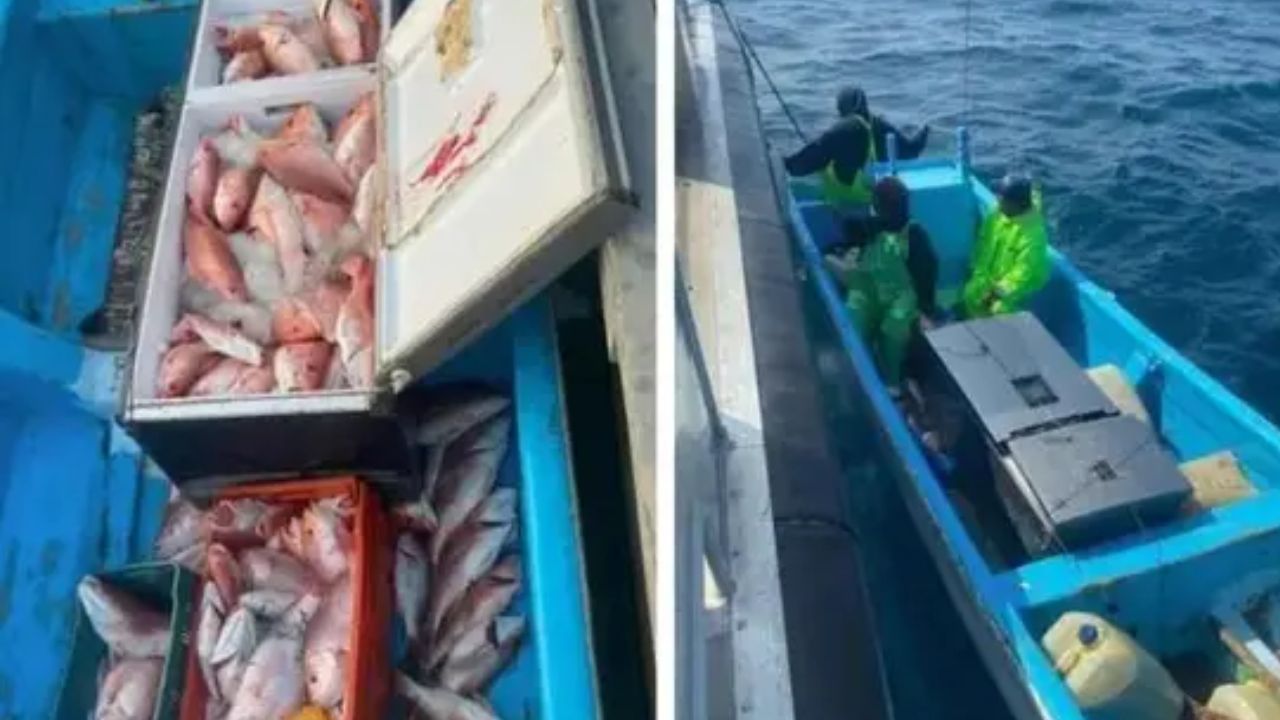 EU procesa a pescadores mexicanos por captura ilegal de huachinango