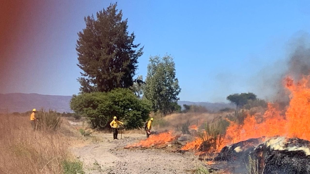 Más de dos mil hectáreas afectadas por incendios forestales