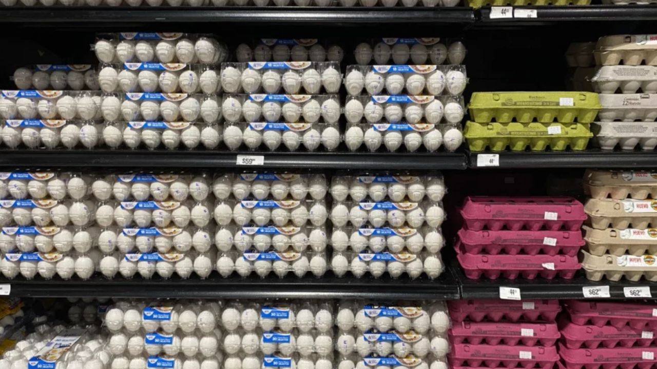 Se dispara el precio del huevo en CDMX y Edomex