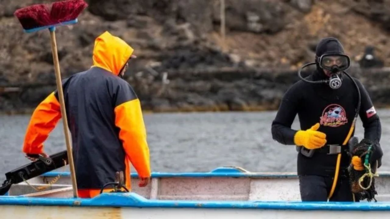 ONU reconoce a México por restauración ecológica en 60 islas