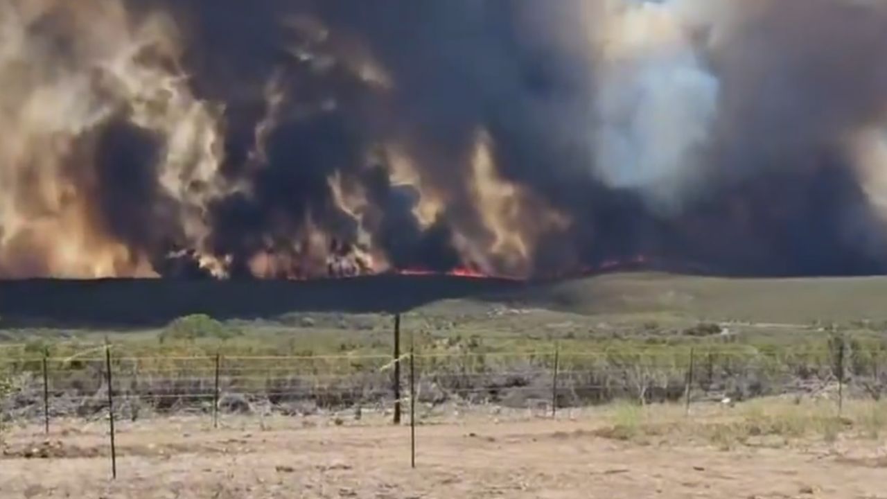 Van más de 12 mil hectáreas quemadas en Tecate, BC