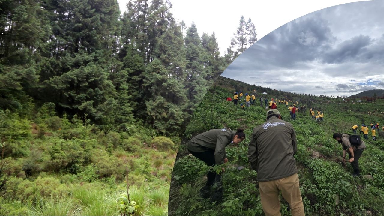 En el Edomex “Restauración Hidrológico-Forestal 2025”