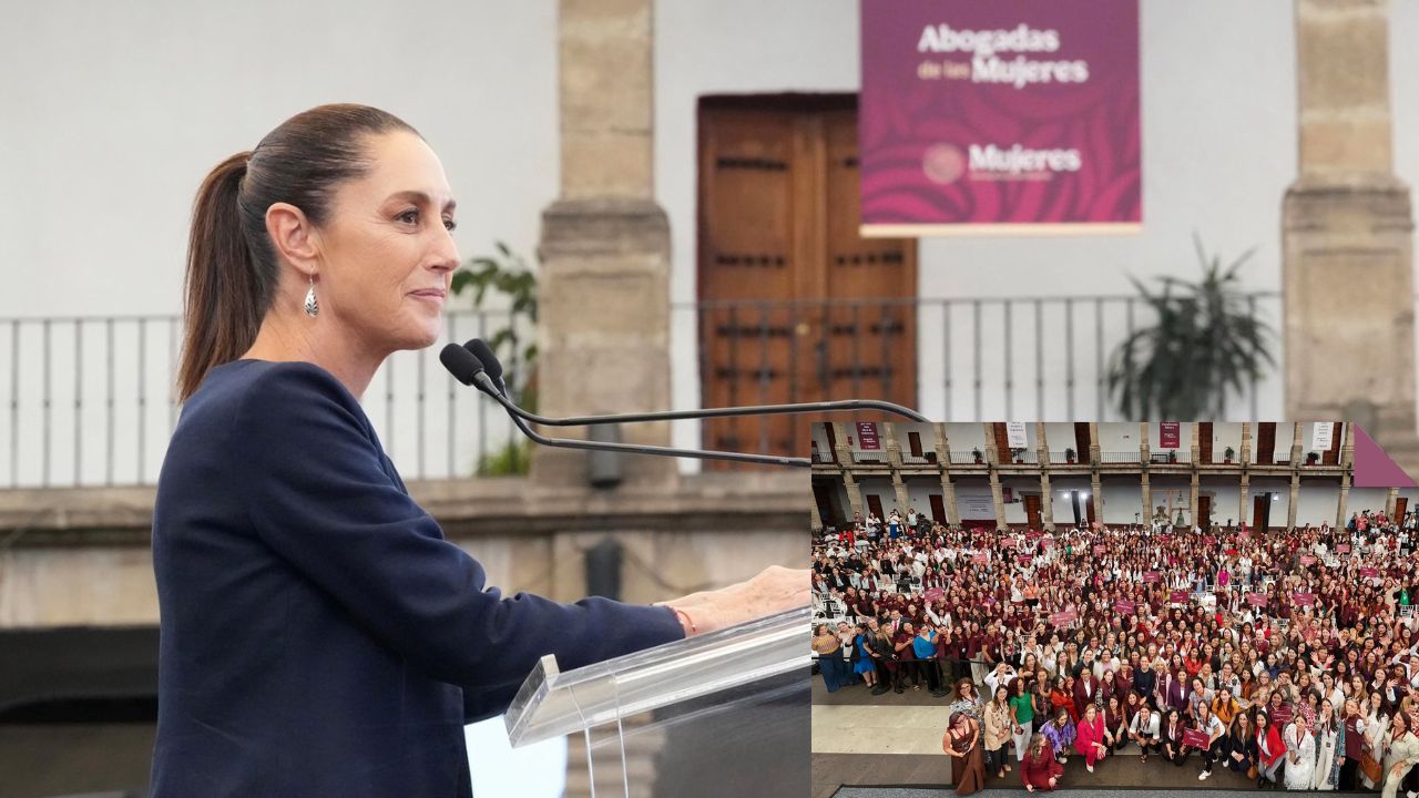 ¡Ya está disponible! Línea 079 y 838 abogadas para apoyar a mujeres