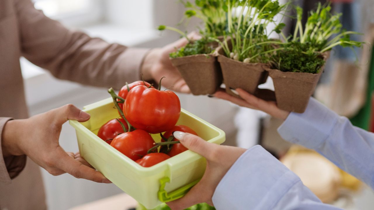 ¡Del campo a tu mesa! Productores venderán sin intermediarios