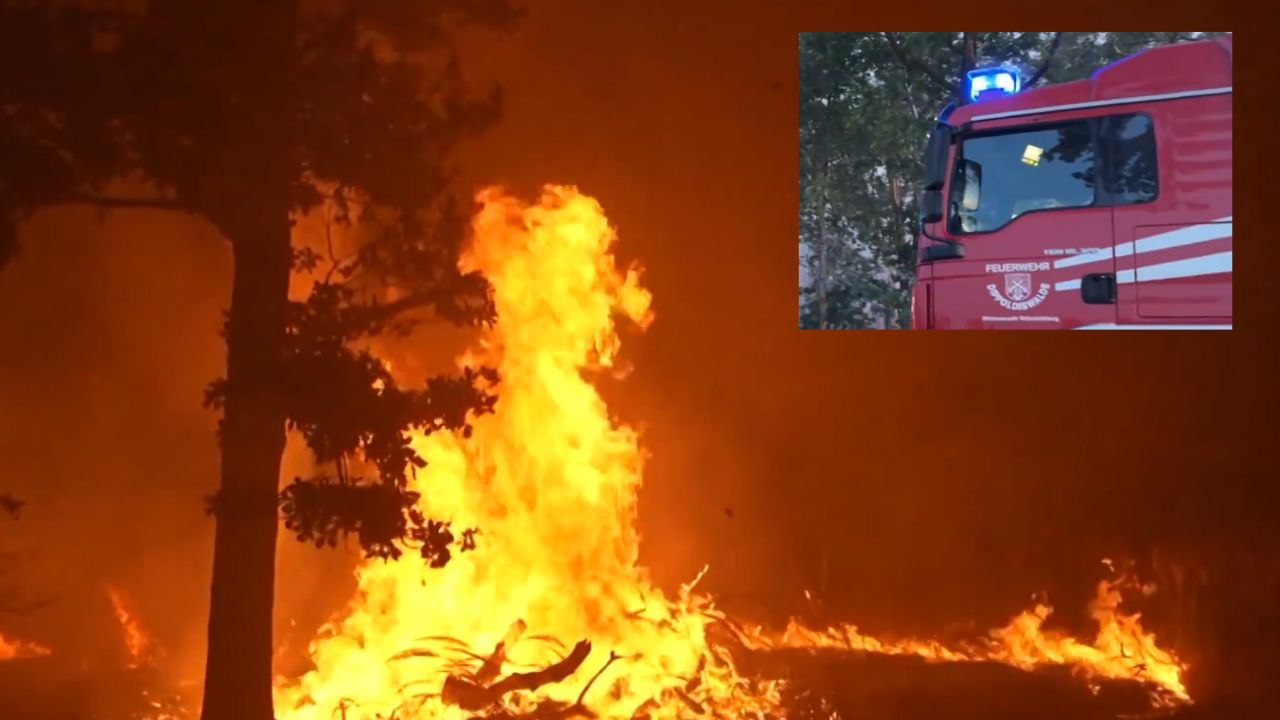 Incendios forestales en Alemania arrasan miles de hectáreas