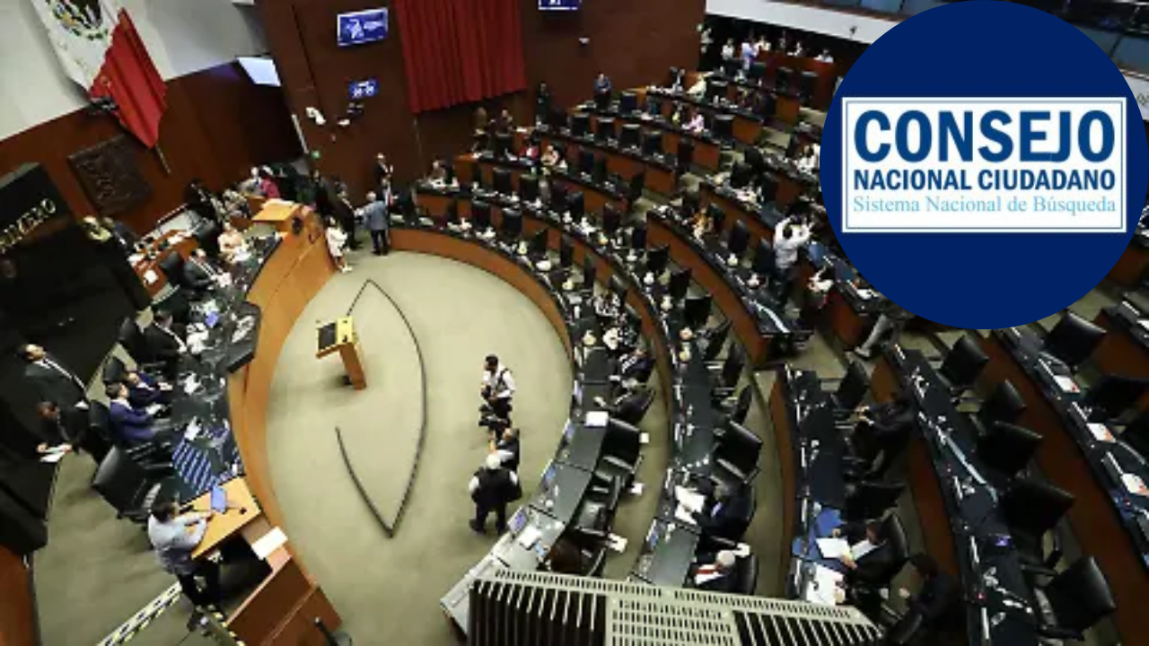 Reactivan proceso para elegir al Consejo Nacional Ciudadano de Búsqueda