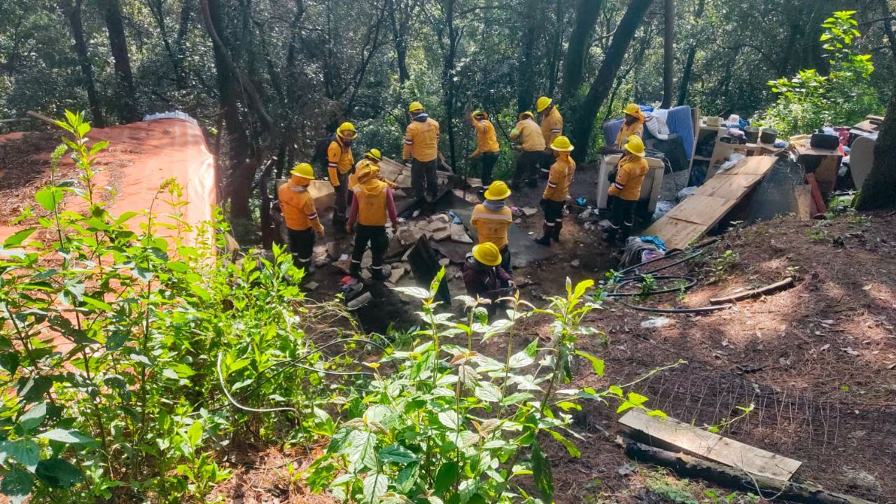 Recuperan bosque invadido en Cuajimalpa