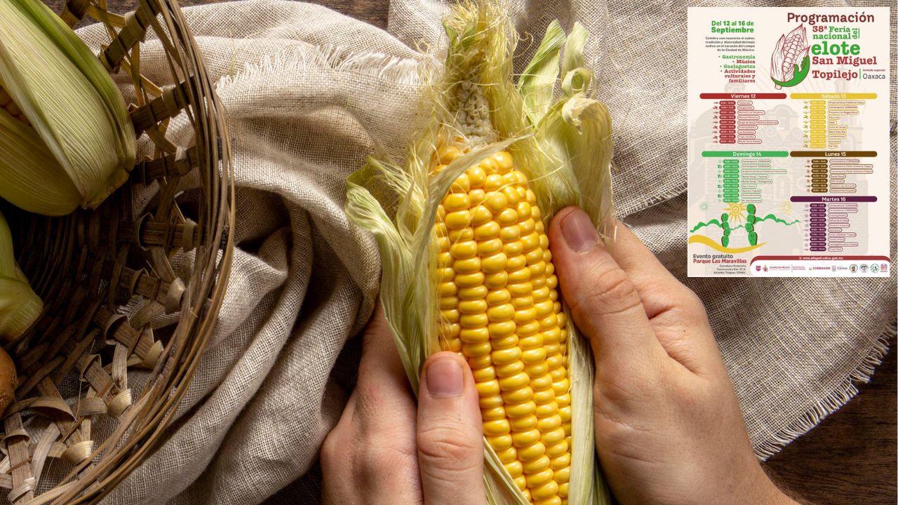 ¡Ya viene la Feria del Elote en Tlalpan! 