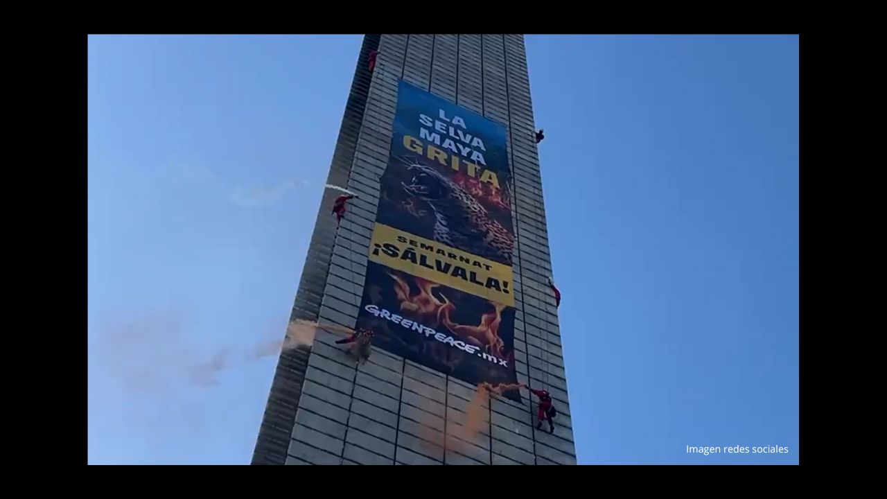 Desde la Estela de Luz Greenpeace  denuncia devastación de la Selva Maya