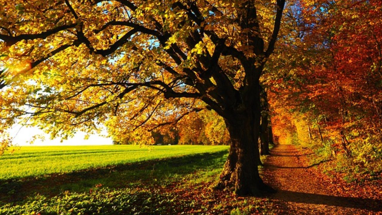 ¡Adiós verano! Este lunes llega oficialmente el otoño