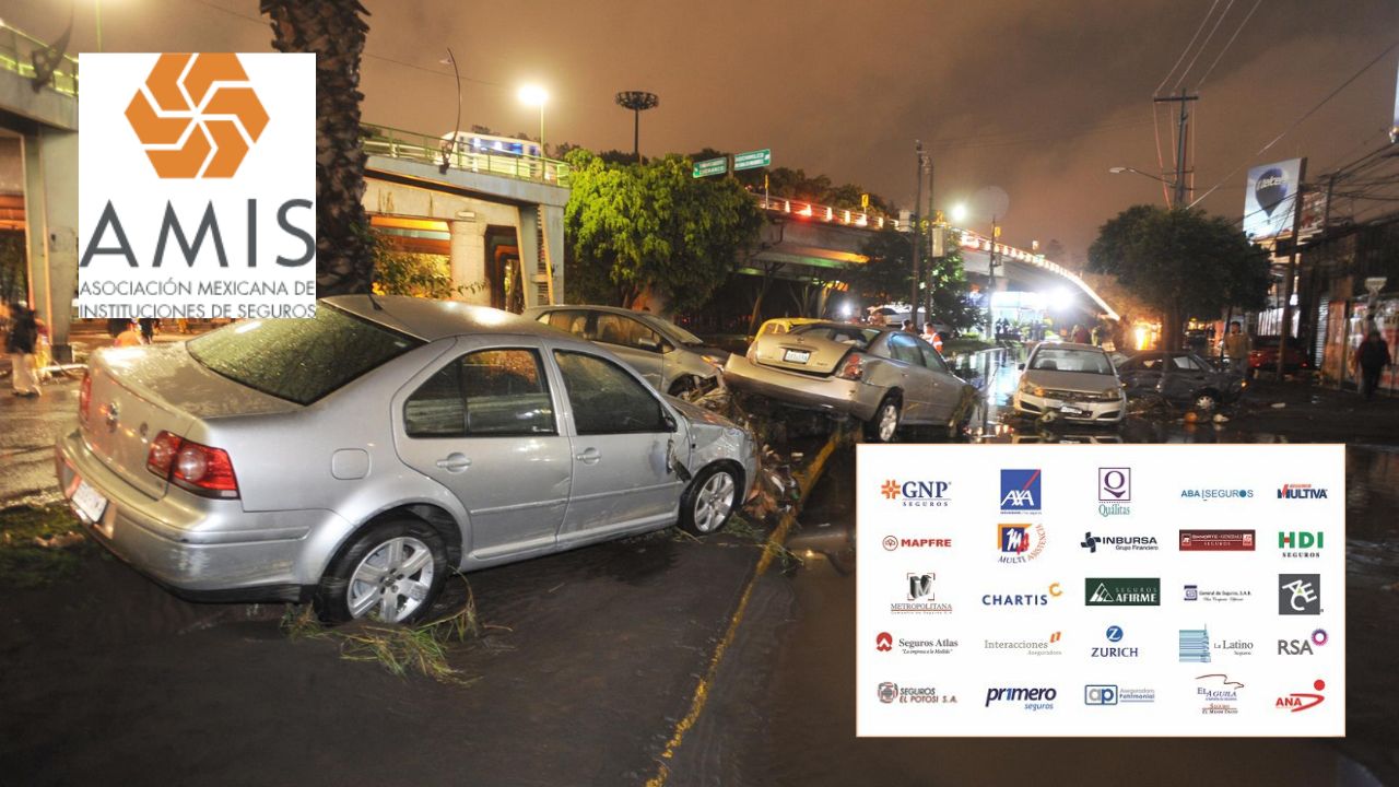 ¡Cuidado! Alertan sobre pólizas falsas de seguro de auto