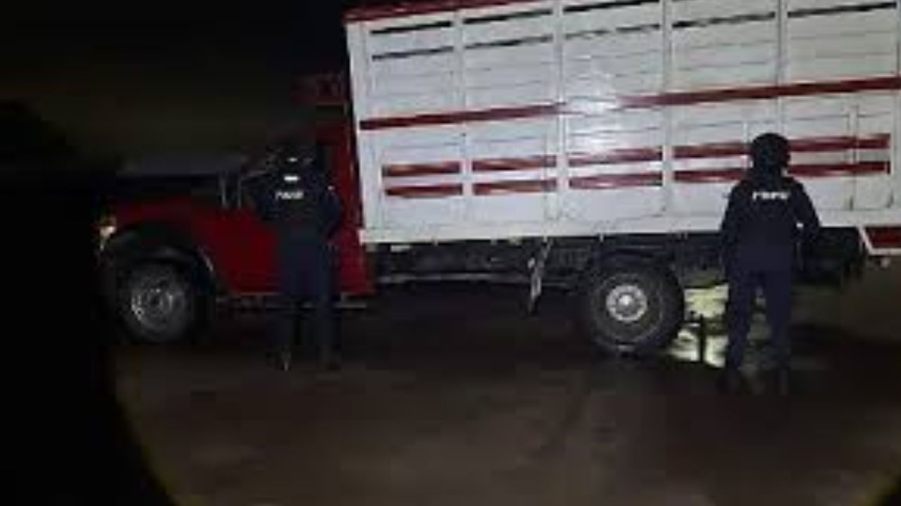 Aseguran en Guanajuato 19 mil litros de huachicol