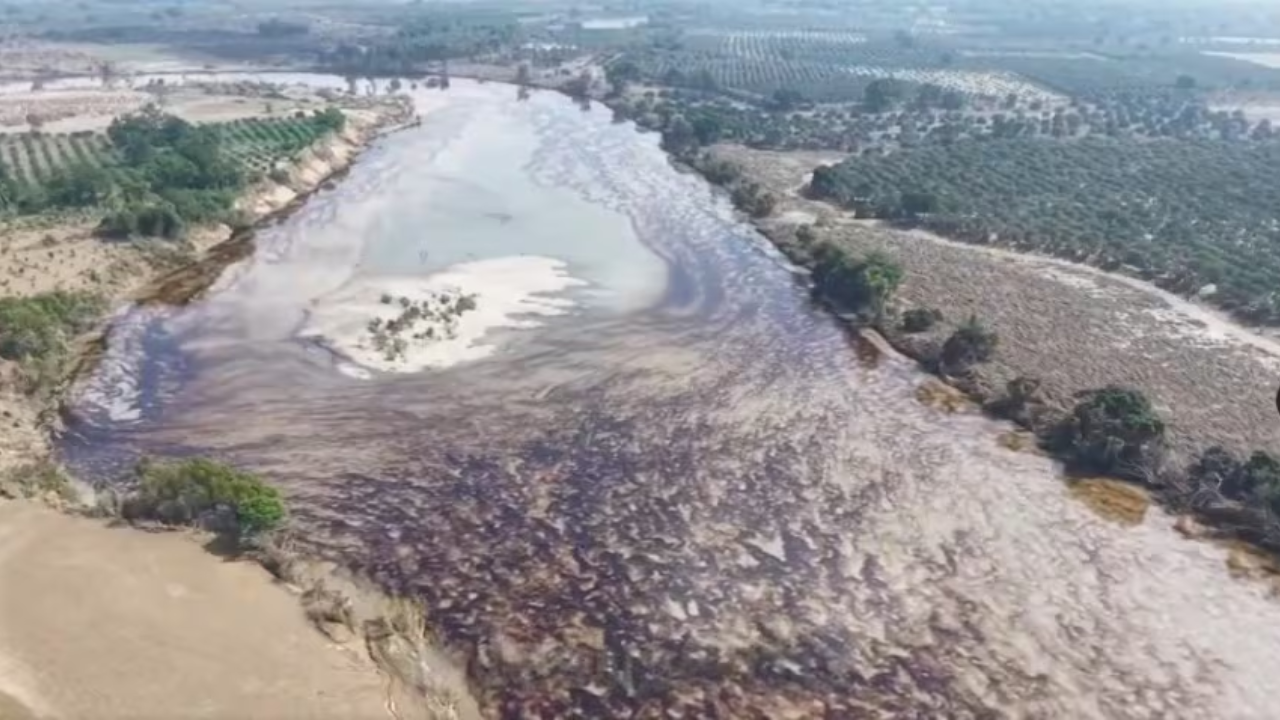 Pemex atiende derrame de crudo en Álamo, Veracruz