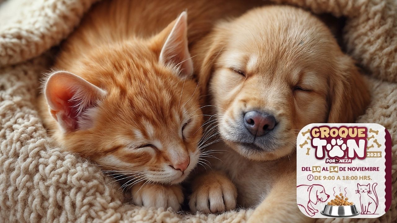 ¡Croquetón 2025 en Neza! 