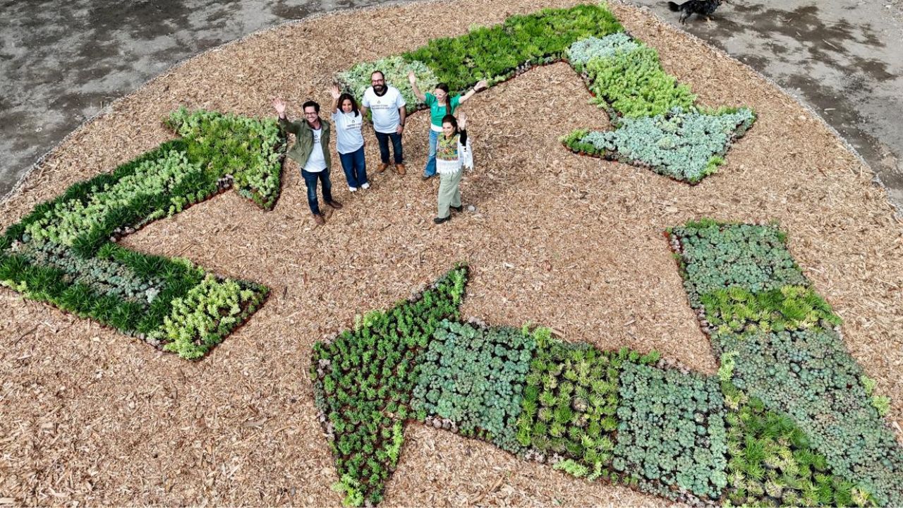 ¡Desde enero separar basura será ley en CDMX!