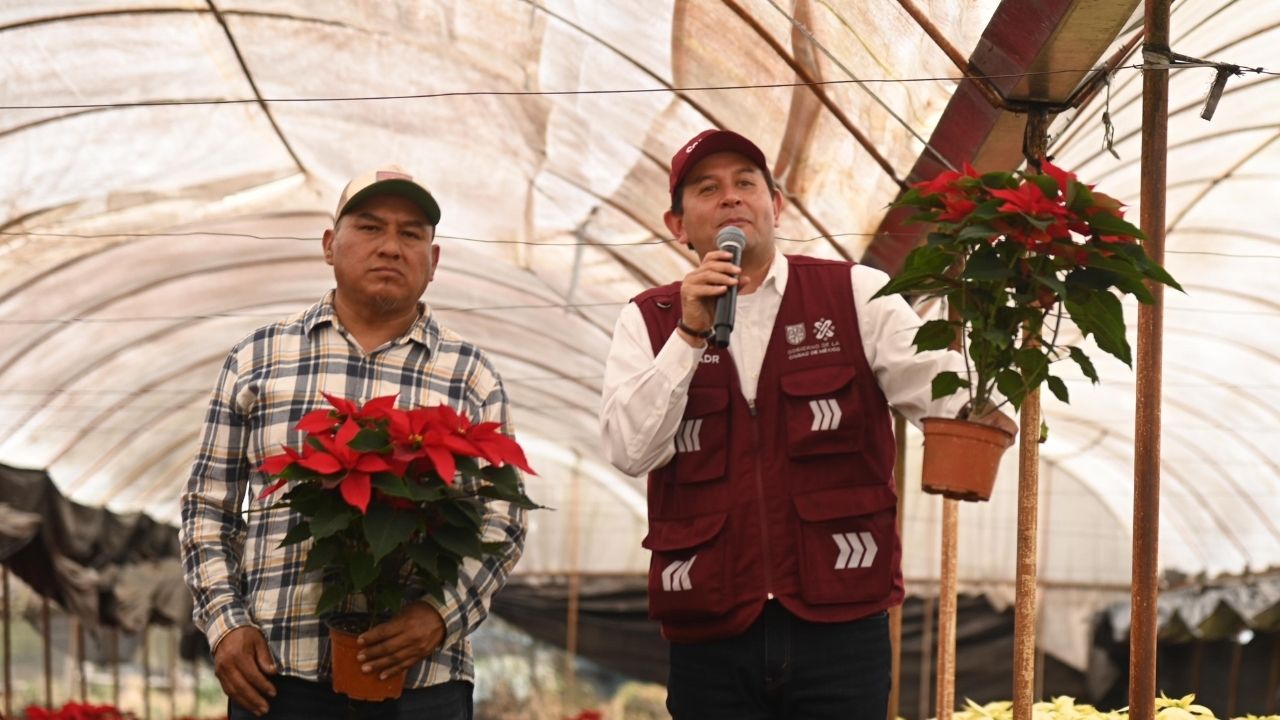 Inicia venta de nochebuena en Xochimilco
