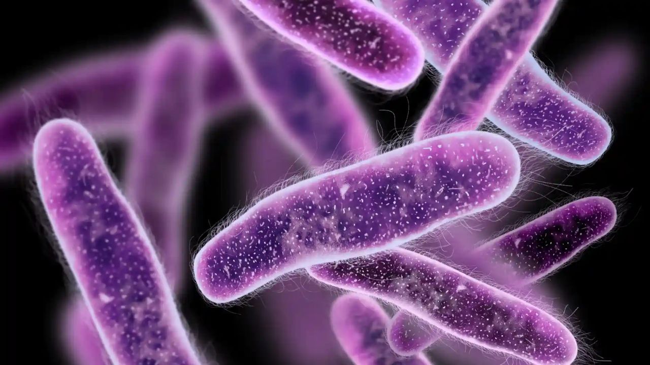 ¡Alerta! Bacteria mortal causa 17 muertos en México 