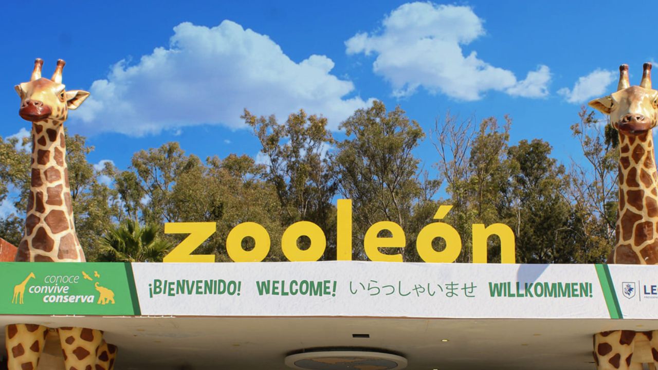 Ordenan cierre temporal del zoológico de Guanajuato