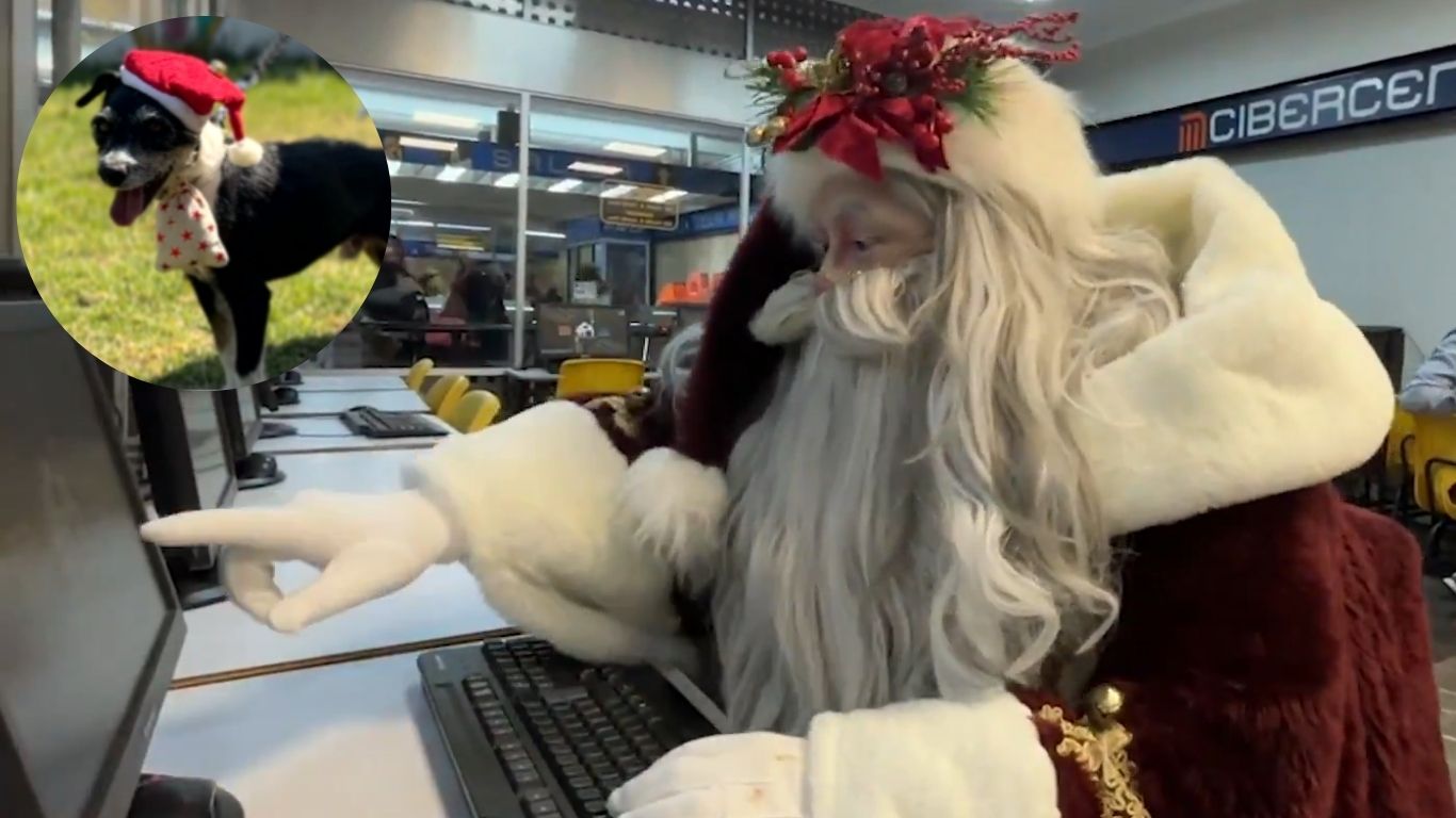¡Los deseos más perrunos llegan al Metro esta Navidad!  