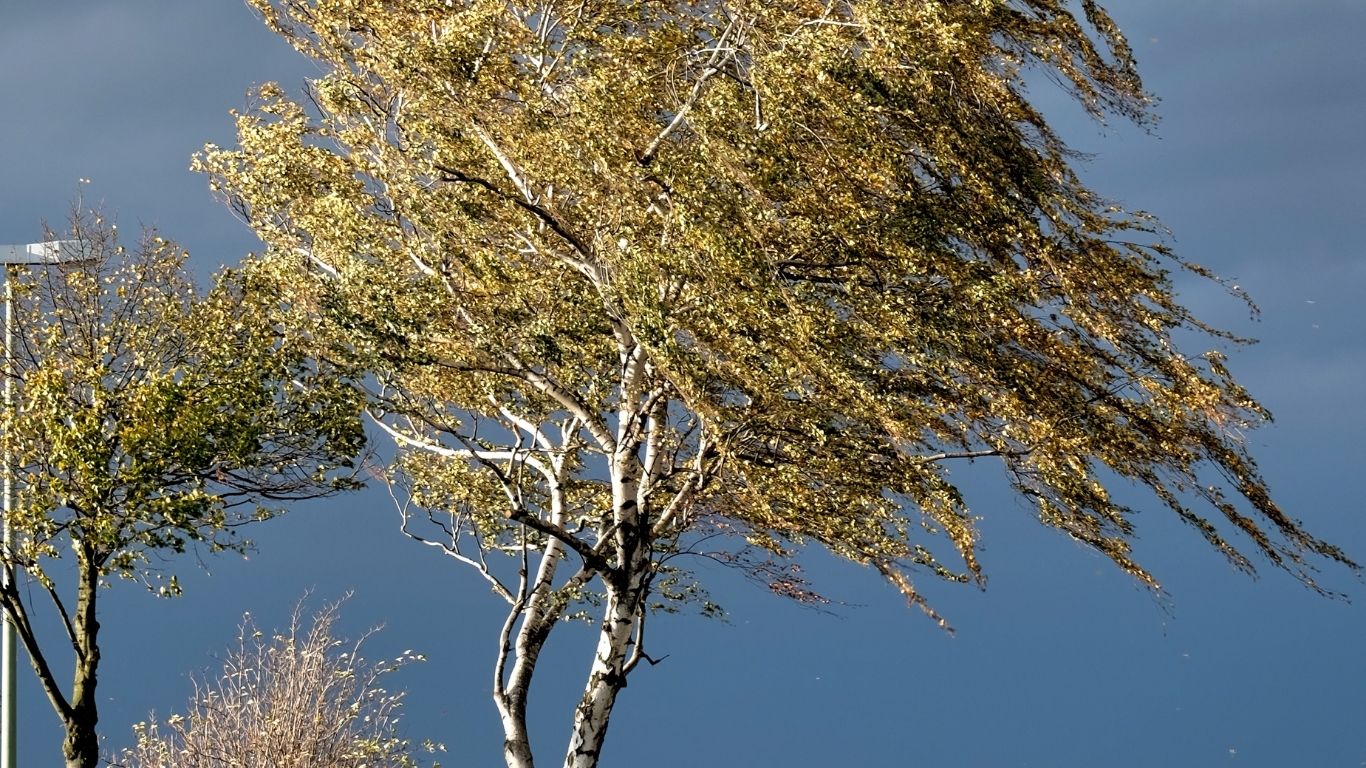 ¡Precaución! Vientos fuertes en CDMX  