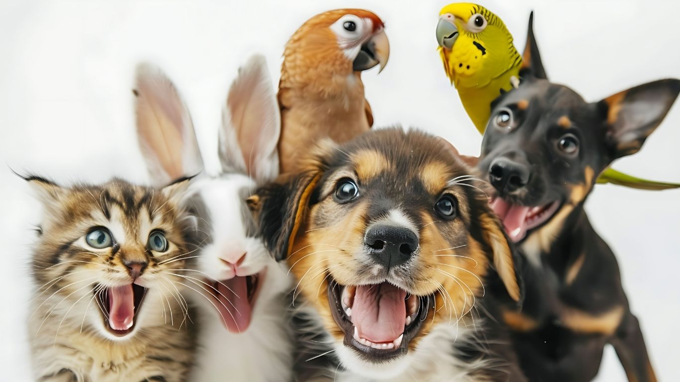 12 de abril, Día de los Seres Sintientes