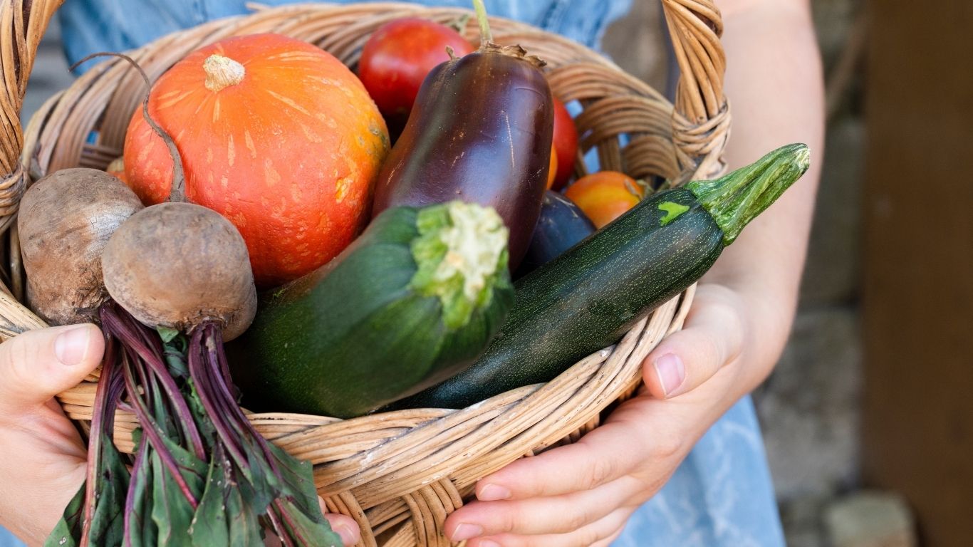 Inseguridad en el campo encarece alimentos hasta 20%  