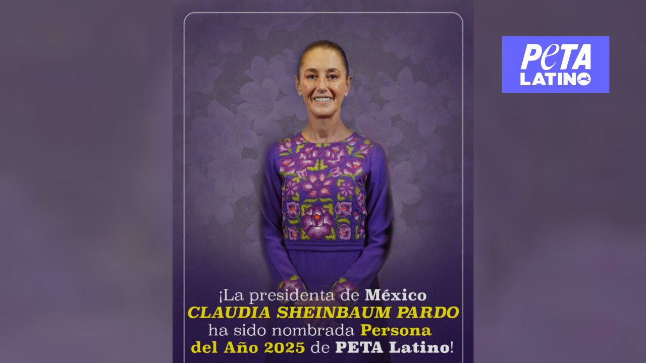 PETA Latino reconoció a Claudia Sheinbaum como persona del Año