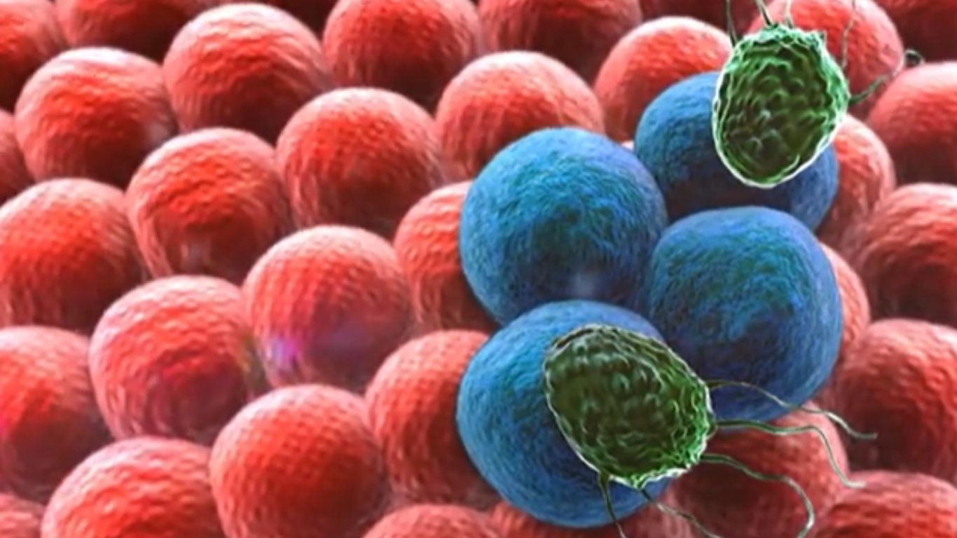 Confirman dos nuevos casos de sarampión en Tlaxcala