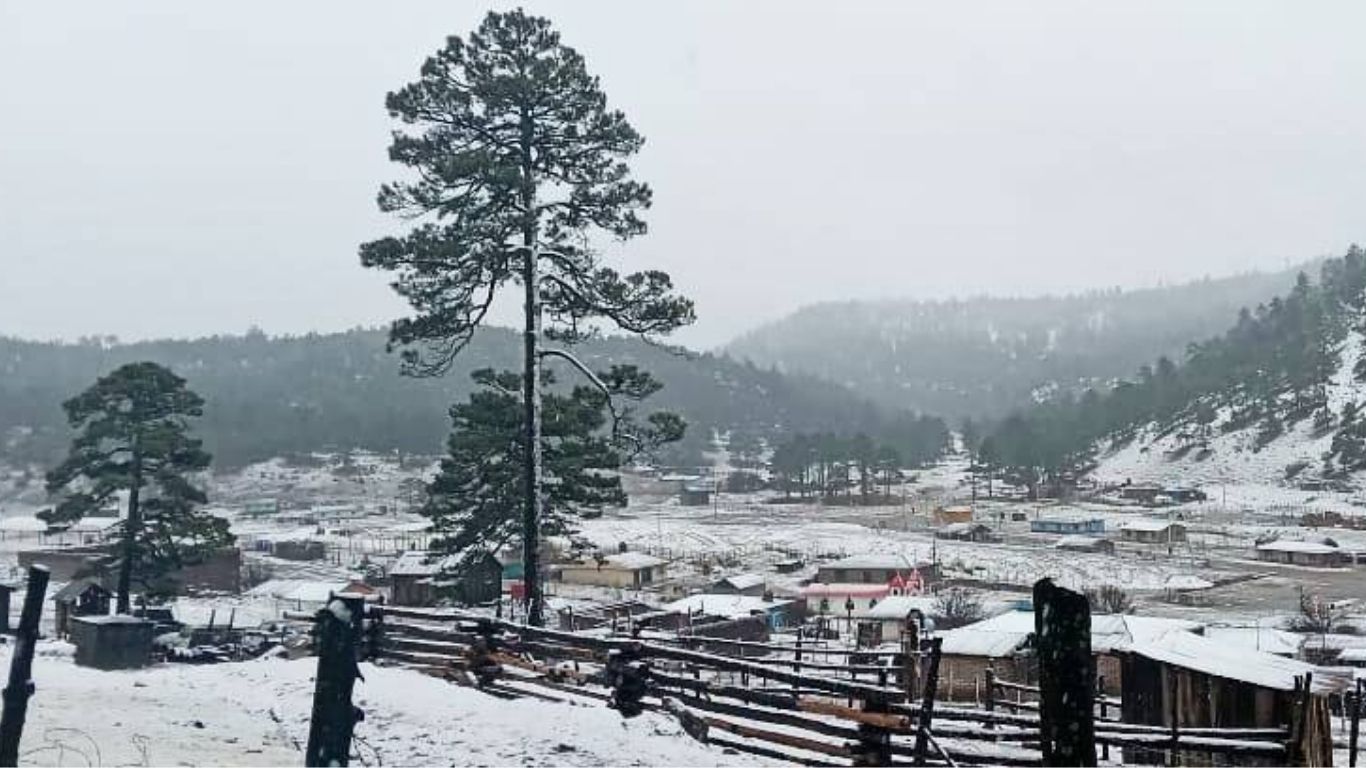 La Rosilla despierta congelada