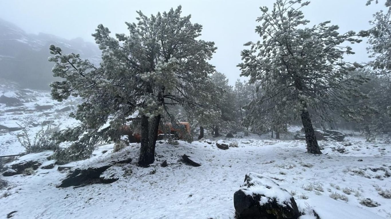 ¡Cofre de Perote se viste de blanco otra vez!