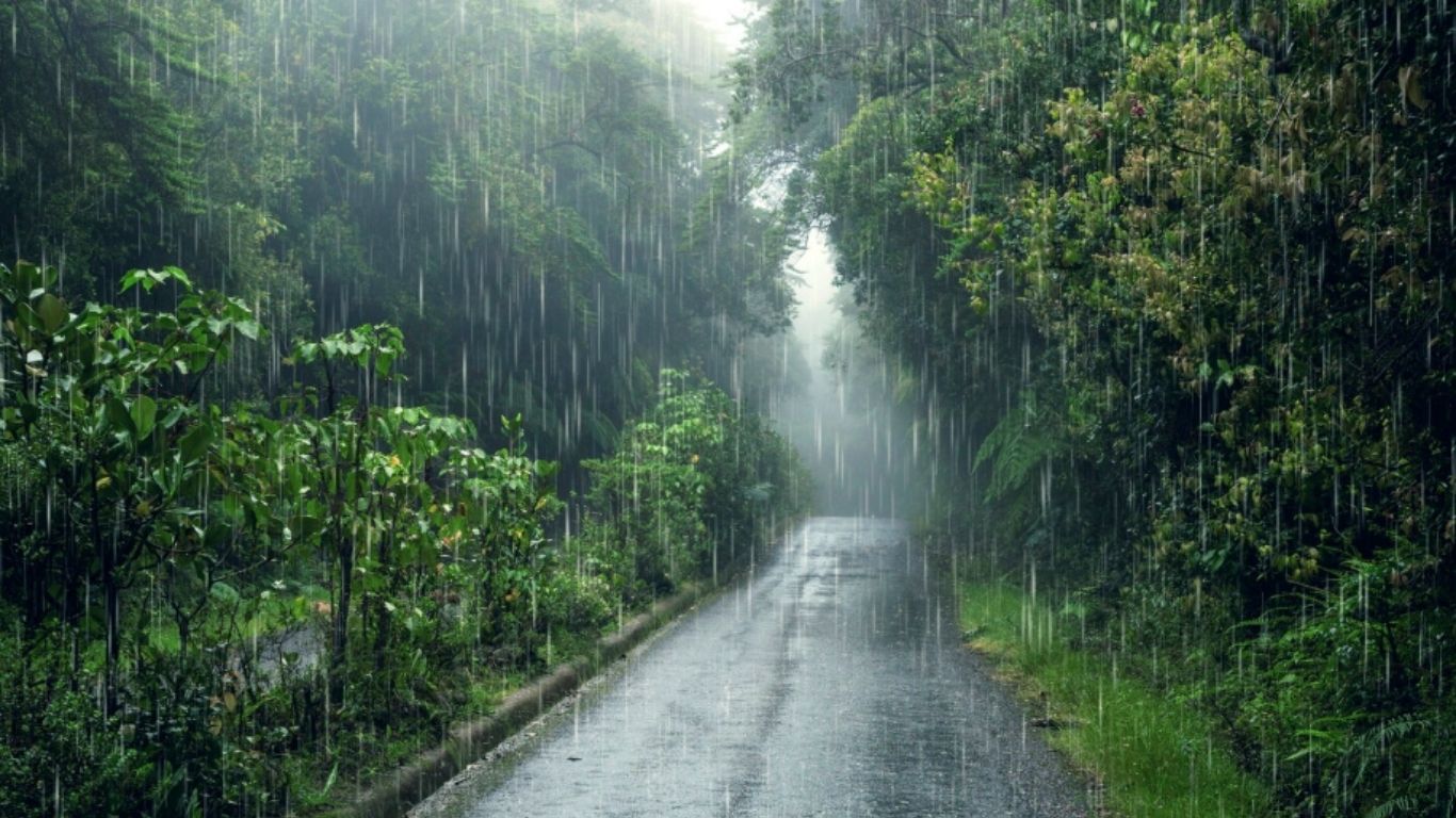 ¡Alerta de lluvias torrenciales para este domingo!    