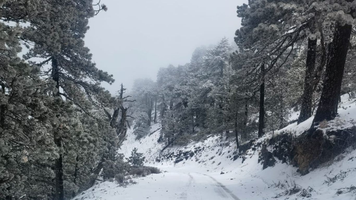 ¡Alerta! Hasta -15 °C en zonas serranas